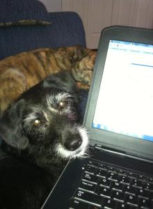 936386_10200242490248306_709002509_n