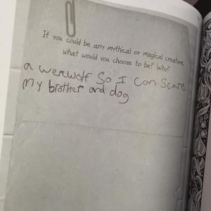 15232255_1299833203389811_5627447532108001652_n