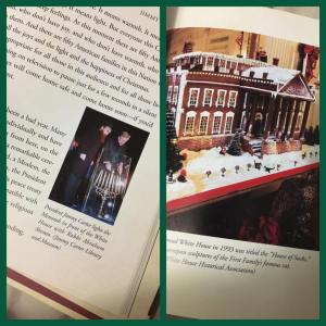 15355665_1308928185813646_7962151726183681002_n